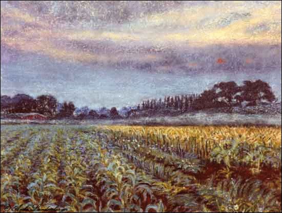 Abend am Feldrand, Pastellkreide