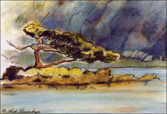 Kiefer am Strand, Pastellkreide