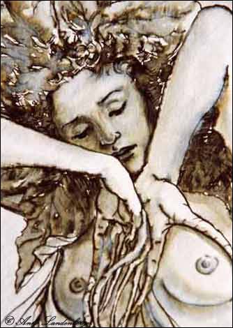 Alraune  (I), (Ausschnitt), Federzeichnung, lavierte Tinte