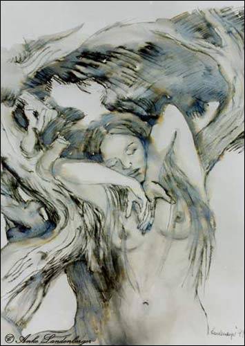 Piktors Verwandlungen (III), Tinte / lavierte Federzeichnung