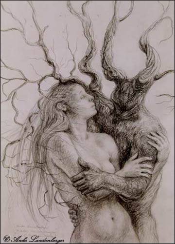 Piktors Verwandlungen (I), Bleistiftzeichnung