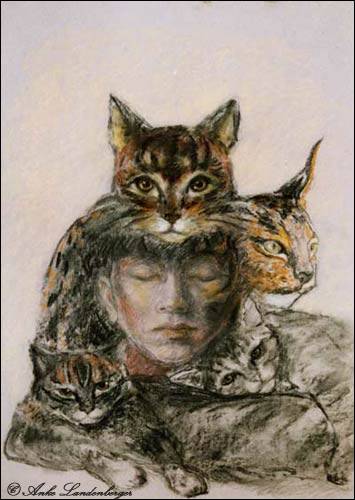 Katzentraum, Kohle / Pastellkreide