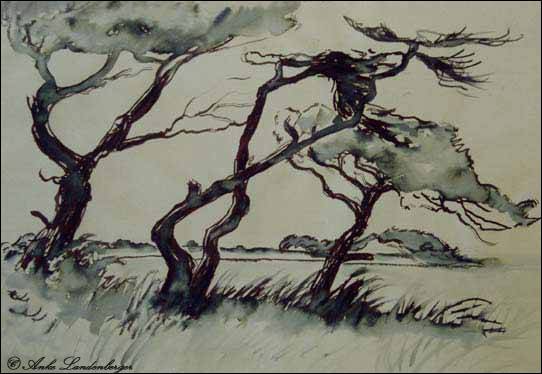 Windflüchter am Strand, Tinte / lavierte Mövenfeder-Zeichnung