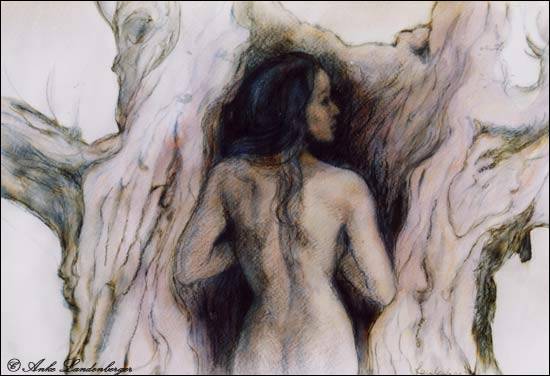 Daphne (I), Tinte / lavierte Federzeichnung